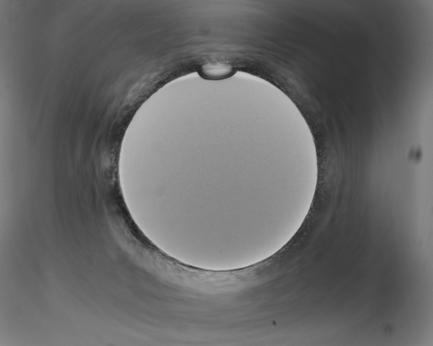 X0000115180031200912091057