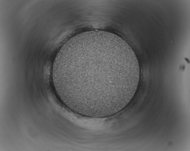 X0000115180032200912091057