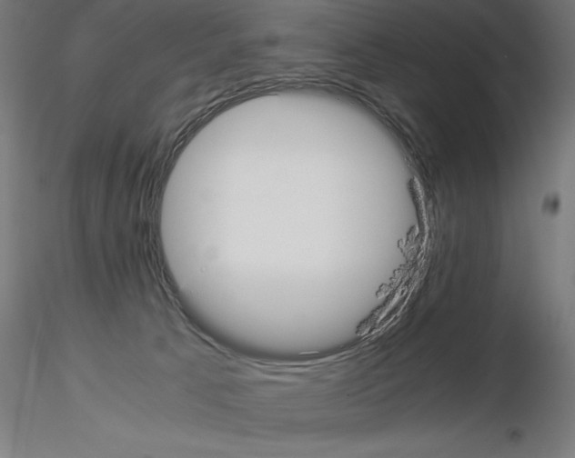 X0000115180033200912091057