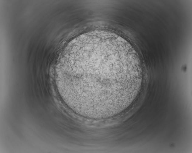 X0000115180034200912091057