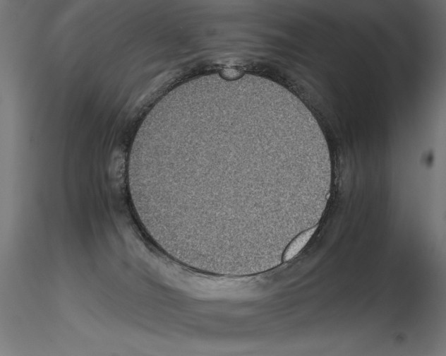 X0000115180036200912091057