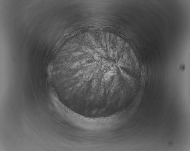 X0000115180038200912091057