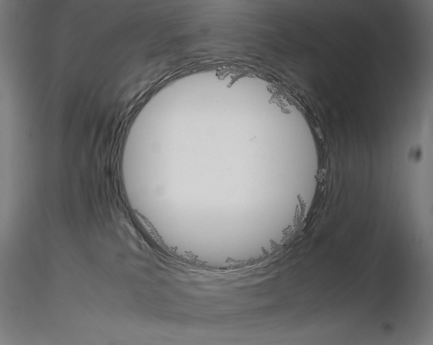 X0000115180039200912091057