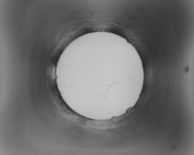 X0000115180041200912091057