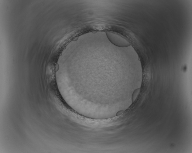 X0000115180043200912091057