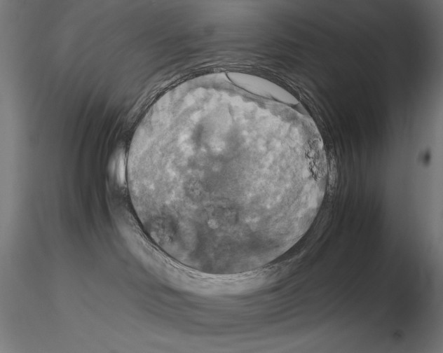 X0000115180046200912091057