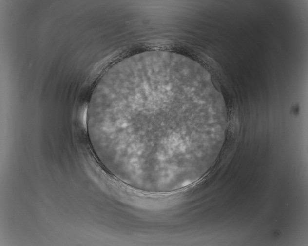 X0000115180047200912091057