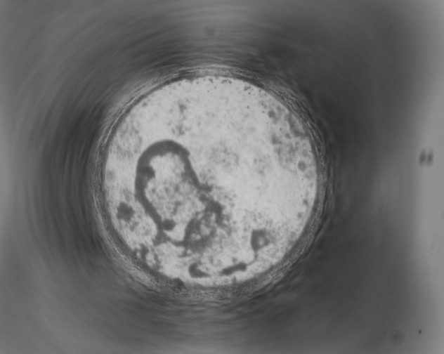 X0000115180049200912091057