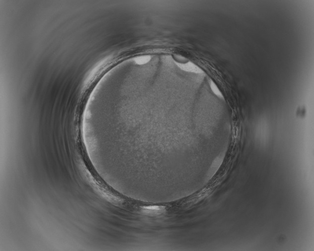 X0000115180053200912091057