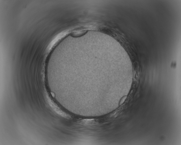 X0000115180054200912091057