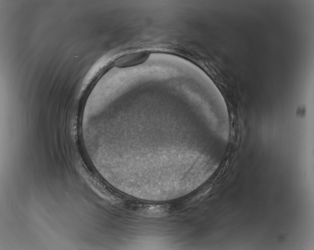 X0000115180056200912091057