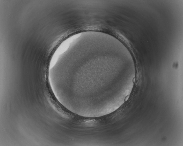 X0000115180059200912091057