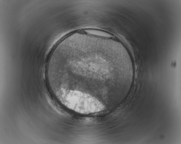 X0000115180060200912091057