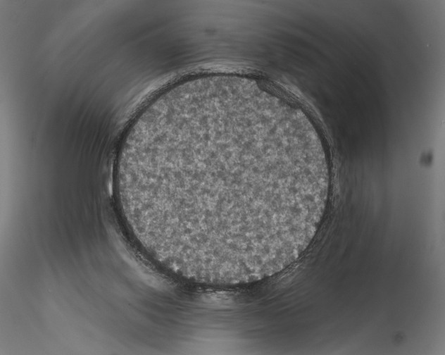 X0000115180062200912091057