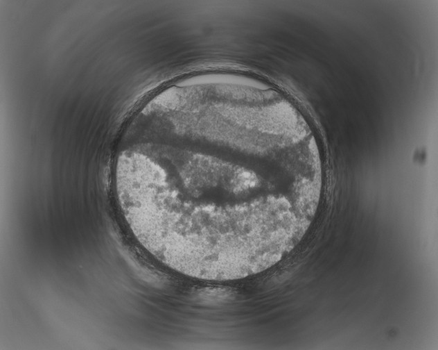 X0000115180063200912091057