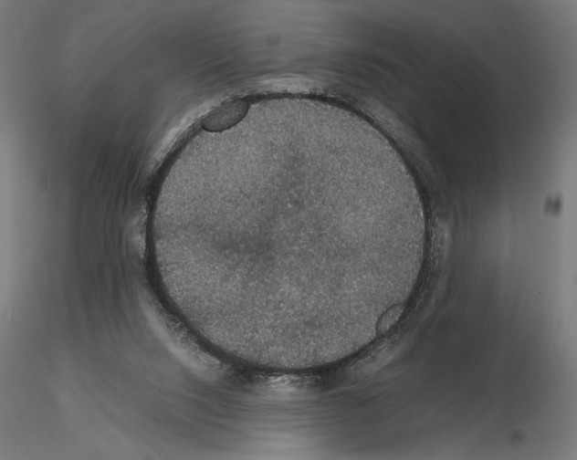 X0000115180064200912091057