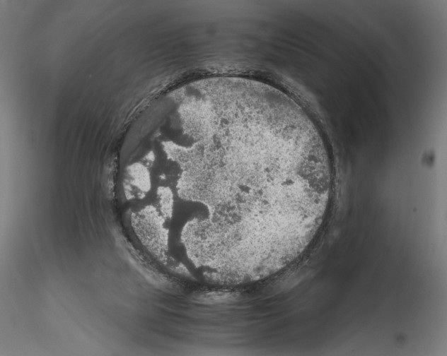 X0000115180065200912091057