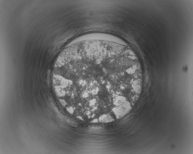 X0000115180066200912091057