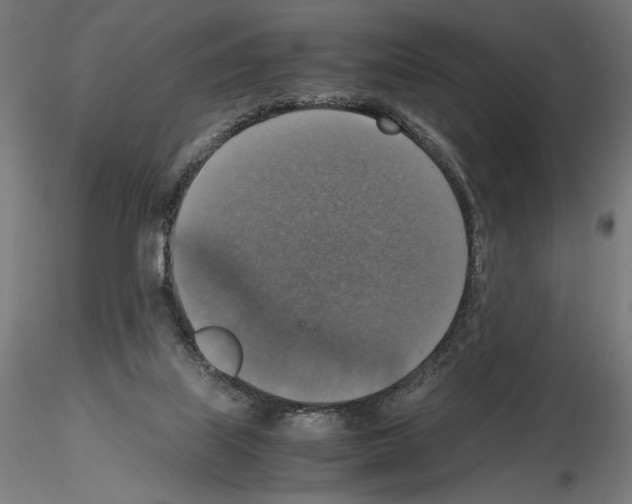 X0000115180067200912091057