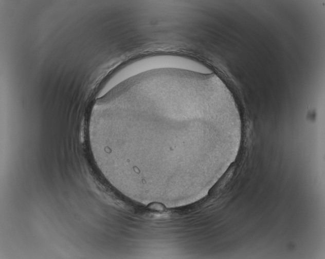 X0000115180068200912091057