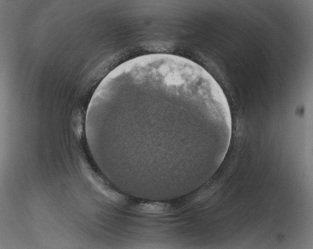 X0000115180069200912091057