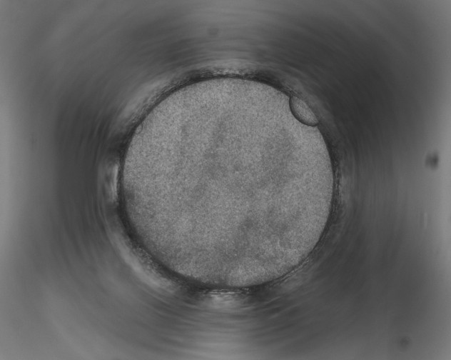 X0000115180070200912091057