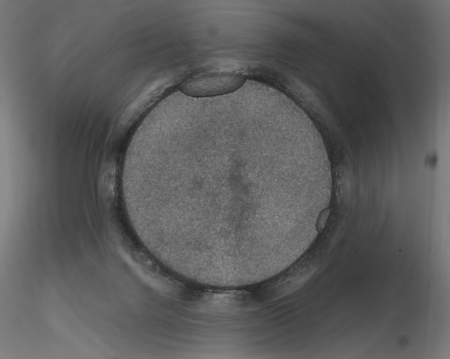 X0000115180072200912091057