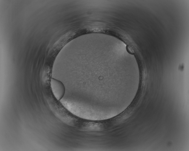 X0000115180073200912091057