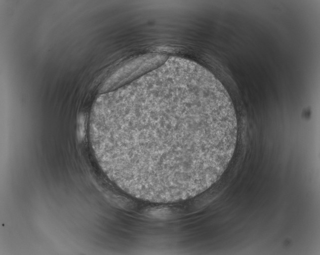 X0000115180075200912091057