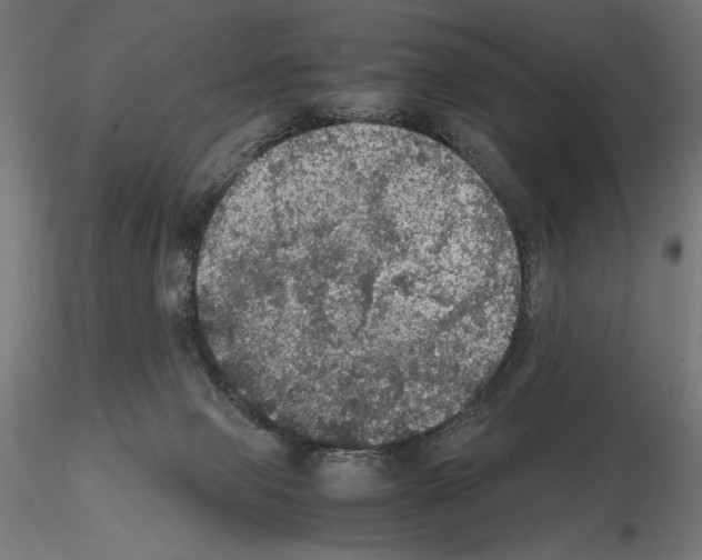 X0000115180077200912091057