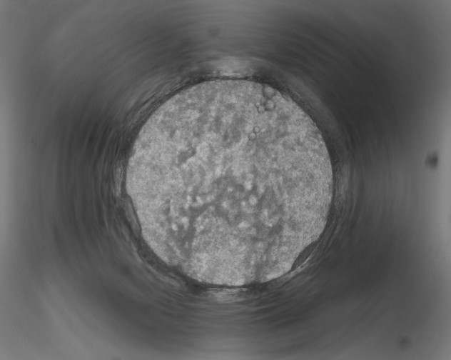 X0000115180078200912091057