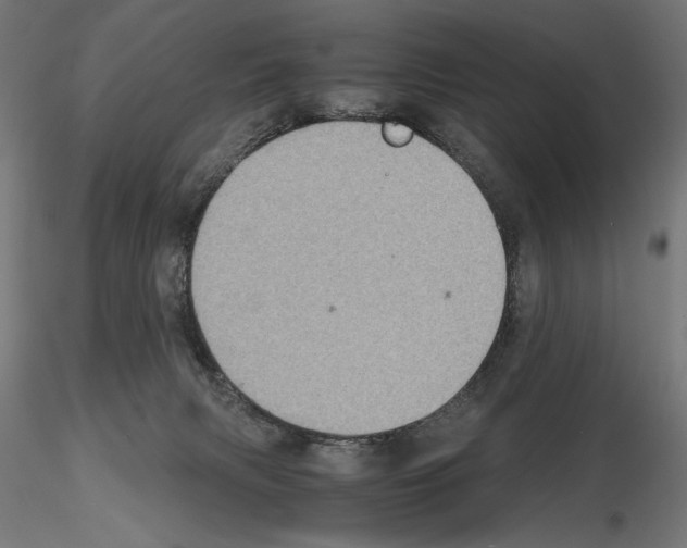 X0000115180079200912091057