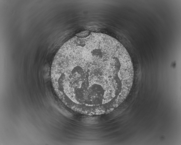 X0000115180081200912091057