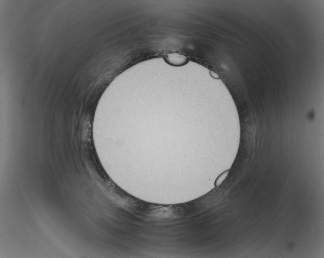 X0000115180083200912091057