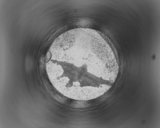 X0000115180093200912091057