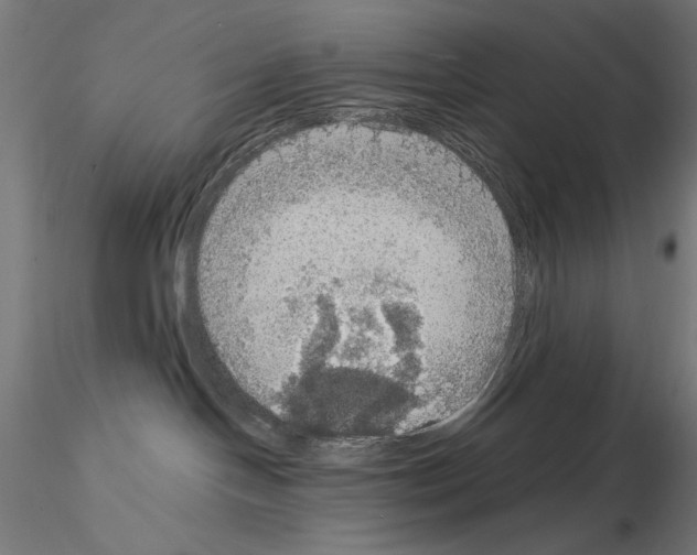 X0000115180094200912091057