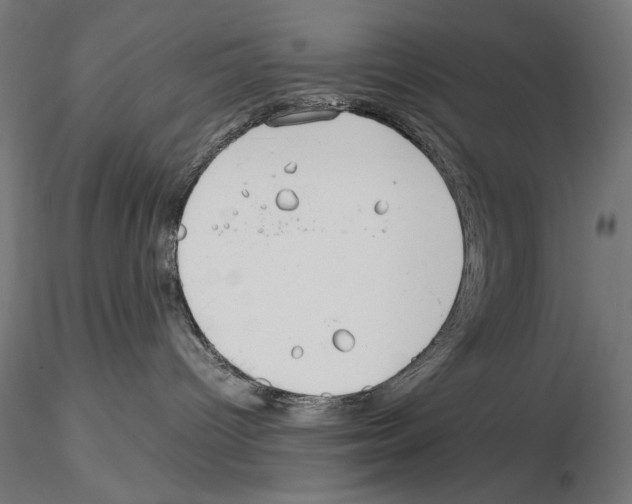 X0000115180096200912091057