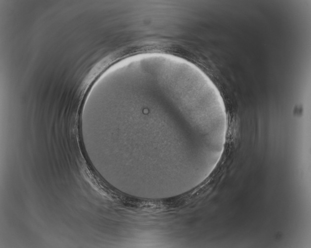 X0000115180099200912091056