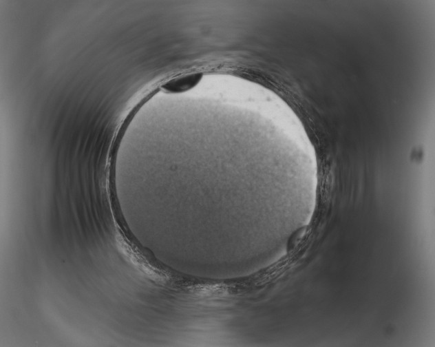 X0000115180100200912091056