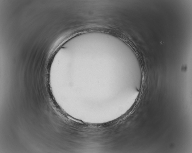 X0000115180101200912091056