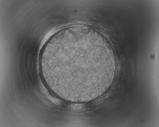 X0000115180102200912091056