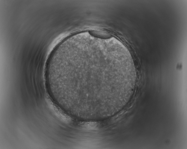 X0000115180104200912091056