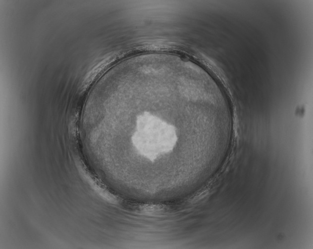 X0000115180105200912091056