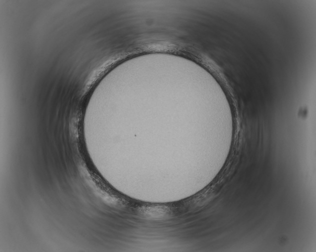 X0000115180106200912091056