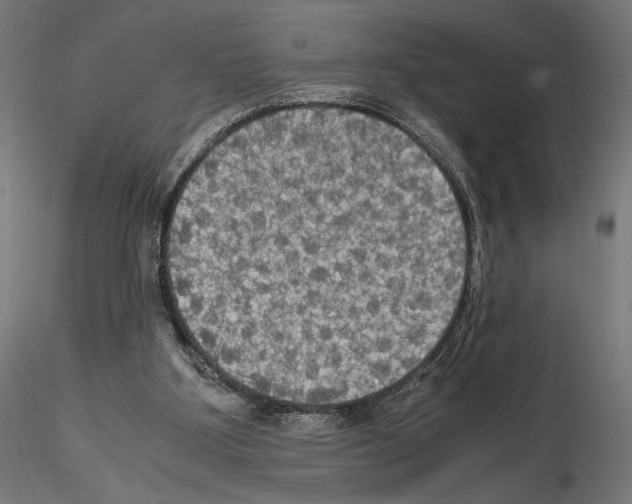 X0000115180107200912091056