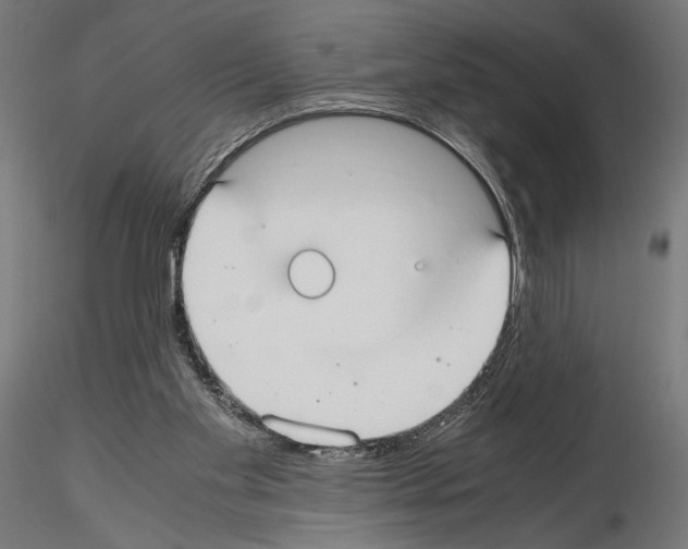 X0000115180109200912091056