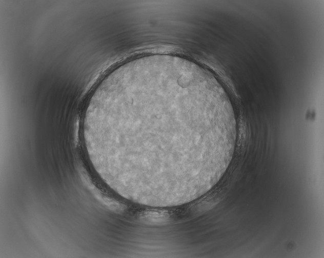 X0000115180110200912091056