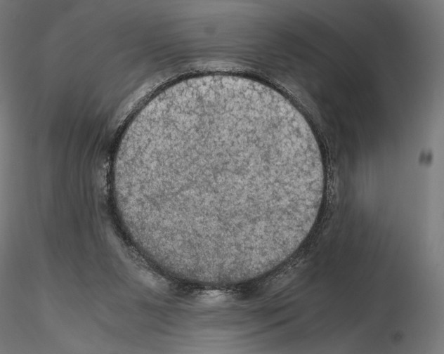 X0000115180111200912091056