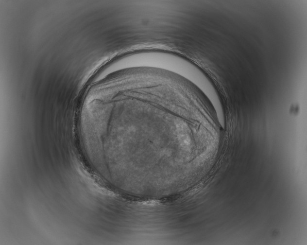 X0000115180112200912091056