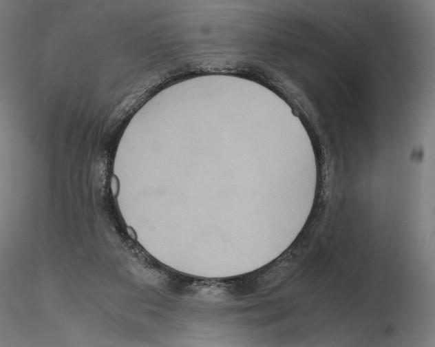 X0000115180113200912091056